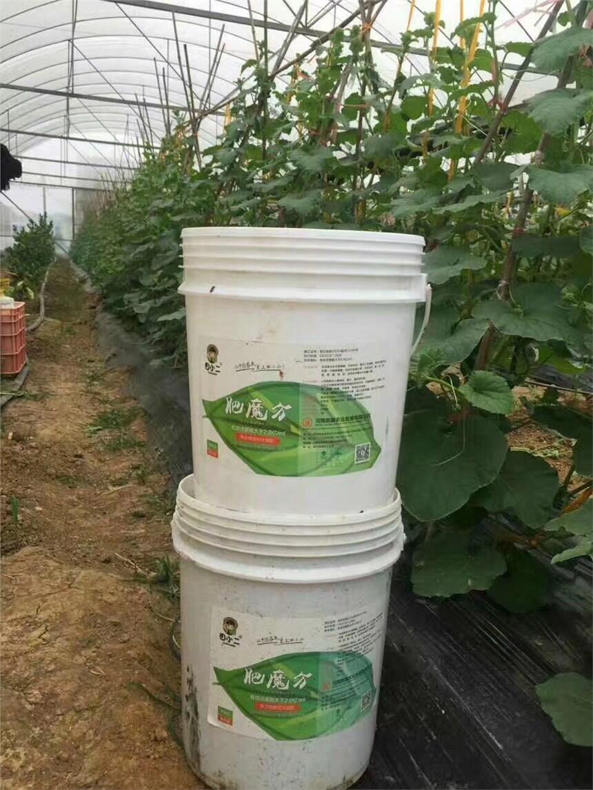 粘土地施用复合微生物肥料和生物有机肥的好处